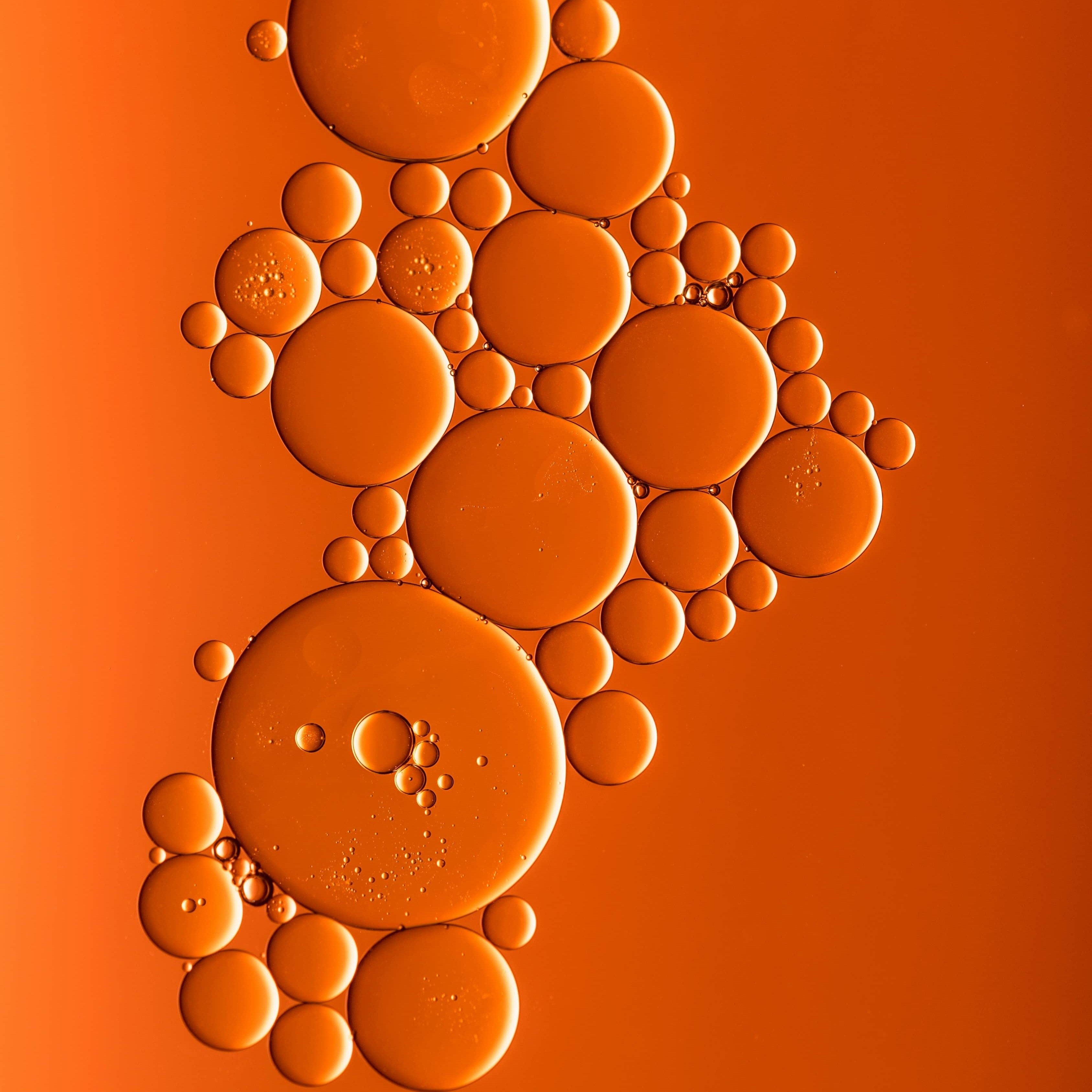 Predictive Modeling Magic