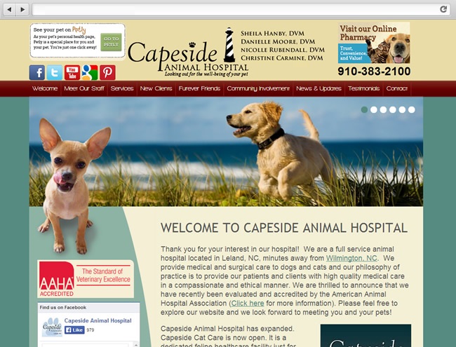 Capeside Animal Hospital - Web Design