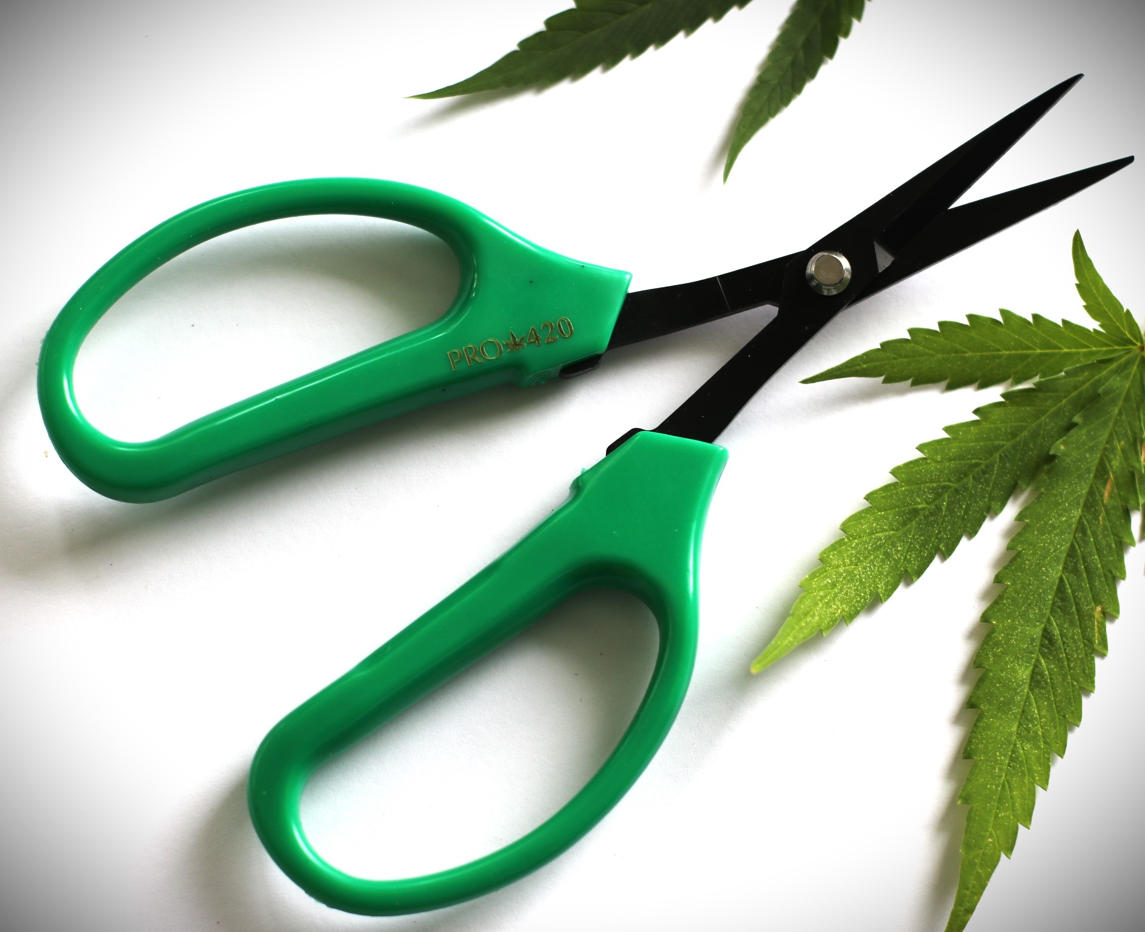 PRO 420 Classic Scissors-Professional grade scissors for trimming plants-Bud Trimming Bonsai Scissors - PRO 420 Scissors