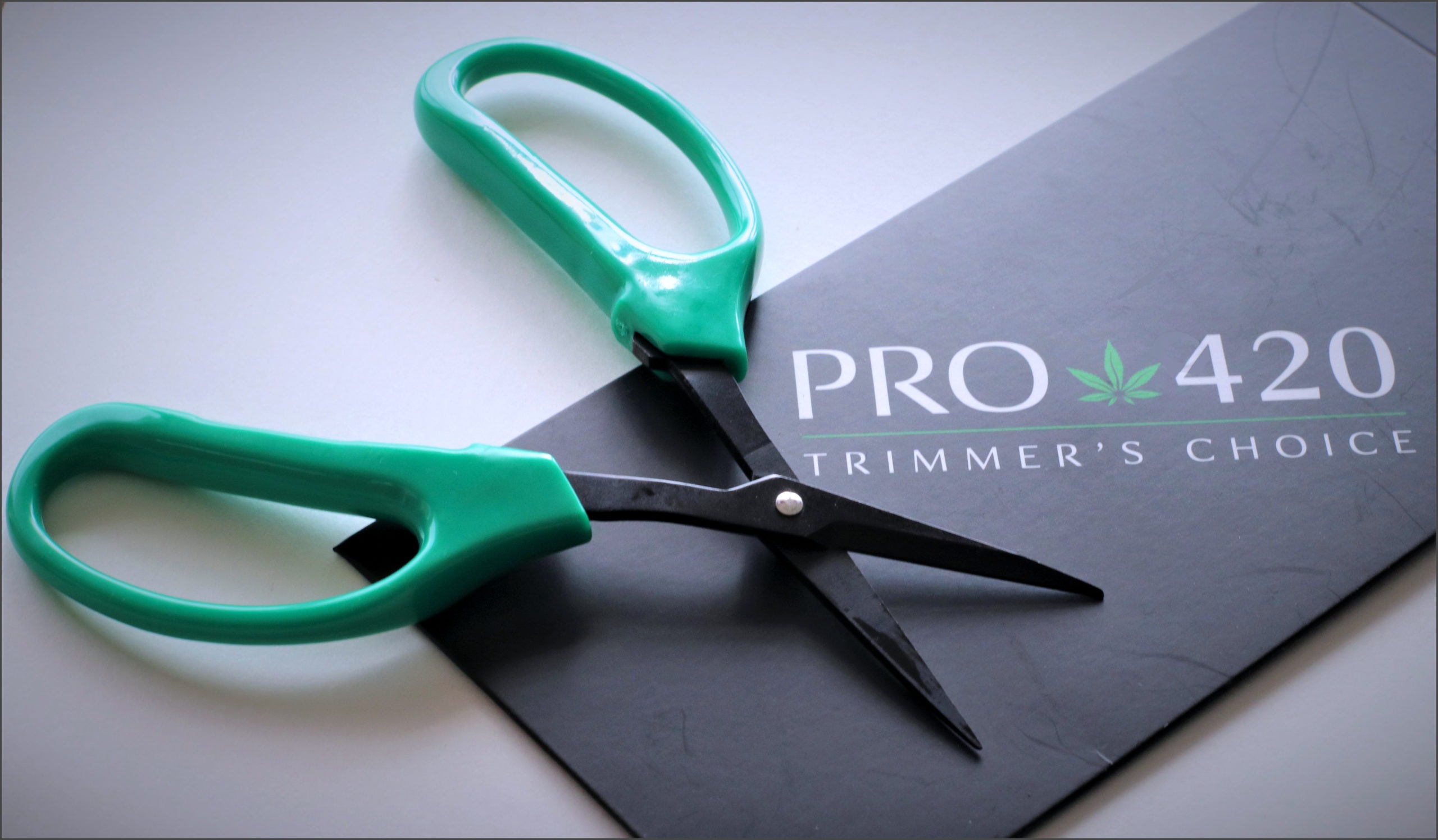 PRO 420 Classic Scissors-  Bonsai Hand Held Trimming Scissors- 2 Packs