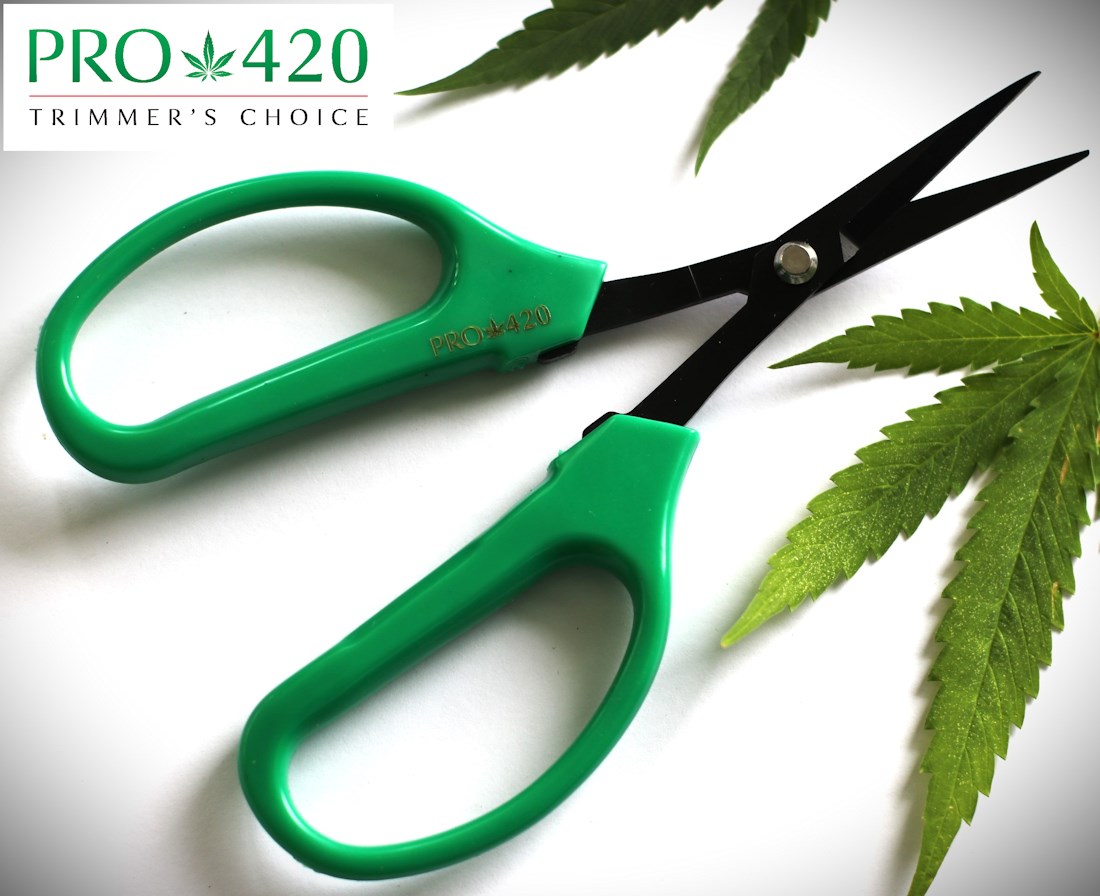 PRO 420 Classic Scissors-  Bonsai Hand Held Trimming Scissors- 2 Packs - PRO 420 Classic Scissors