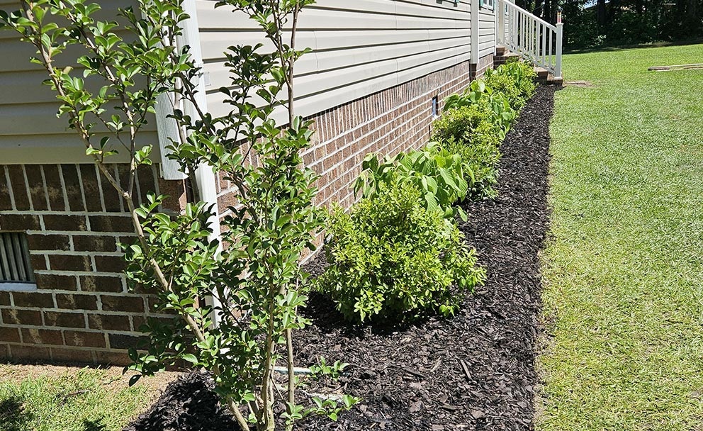 Mulch Installation