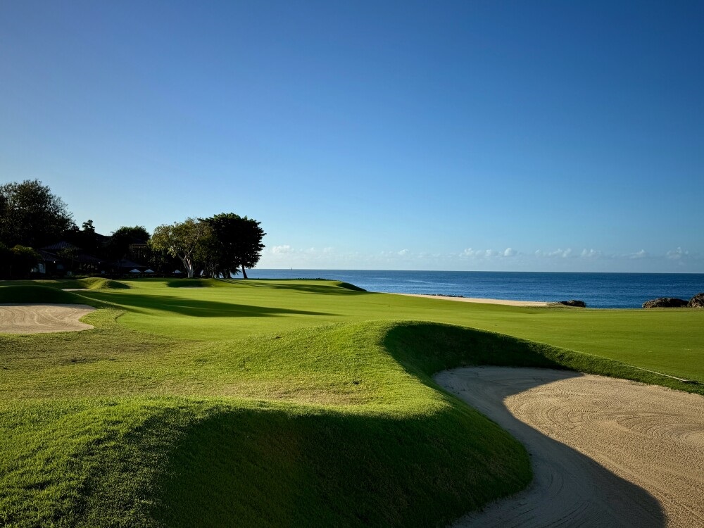Teeth of the Dog Restoration