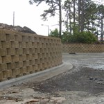 Picture1.jpg